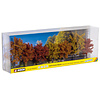 Noch Herfst loofbomen 7 stuks (8 - 10 cm hoog)