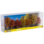 Noch Herfst loofbomen 7 stuks (8 - 10 cm hoog)