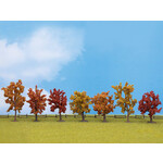 Noch Herfst loofbomen 7 stuks (8 - 10 cm hoog)