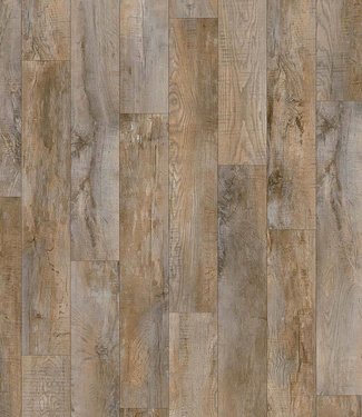 Moduleo Moduleo Select   Country Oak 24958