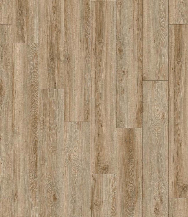 Moduleo Moduleo Transform Blackjack Oak 22229 click