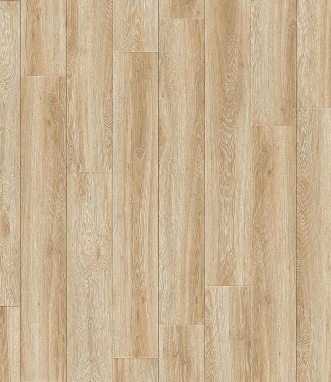 Moduleo Transform Blackjack Oak 22220