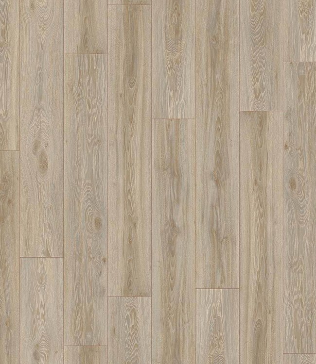 Moduleo Moduleo Transform Blackjack Oak