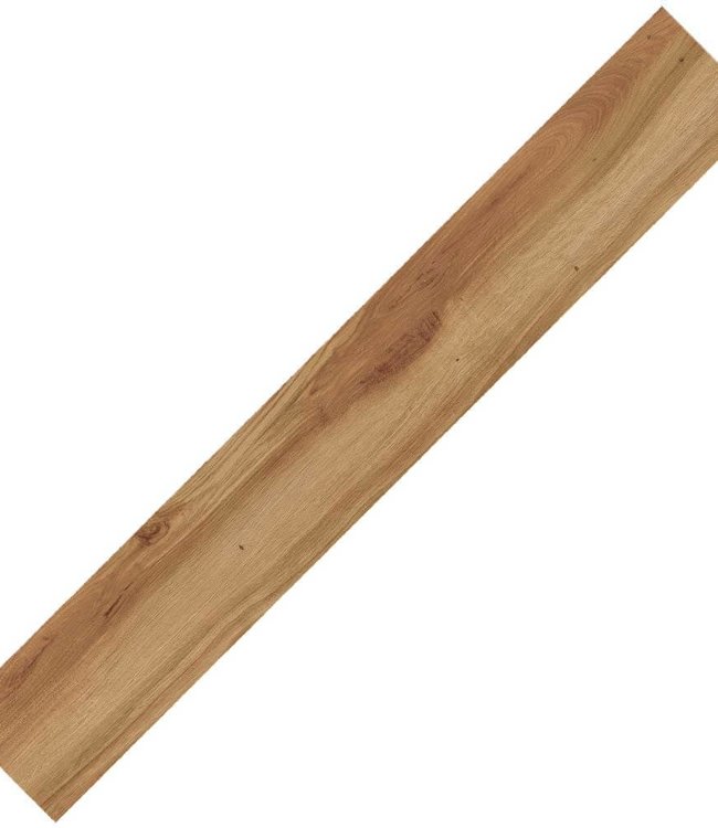 Moduleo Transform Classic Oak 24235