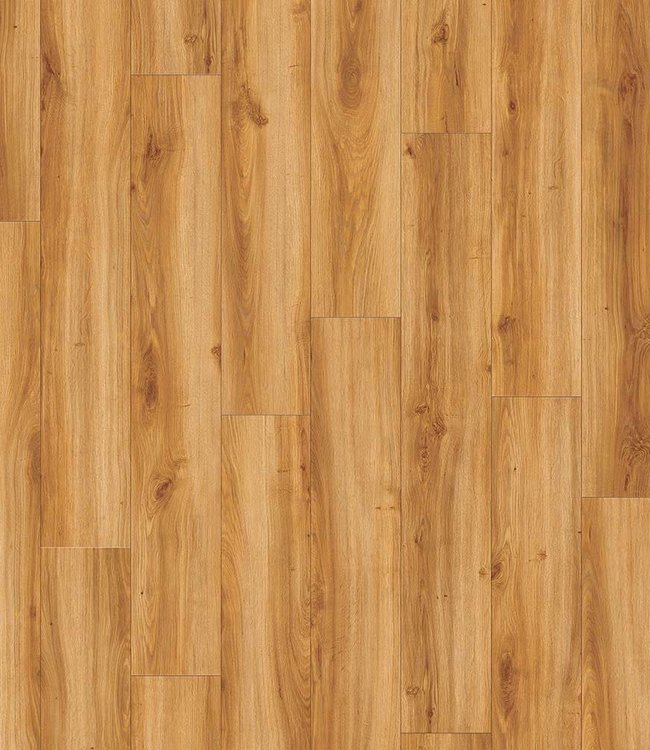 Moduleo Transform  Classic Oak 24438