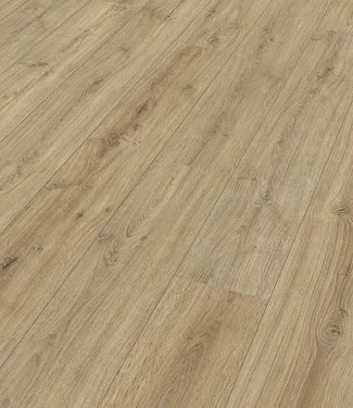 Meister Premium LD 200Eik Nova 6413