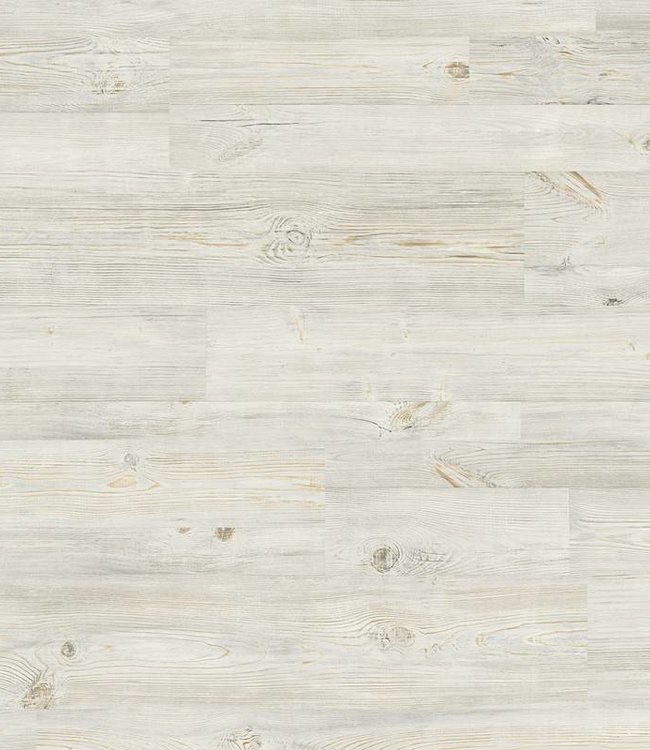 Meister Classic LC75 6390 White Life