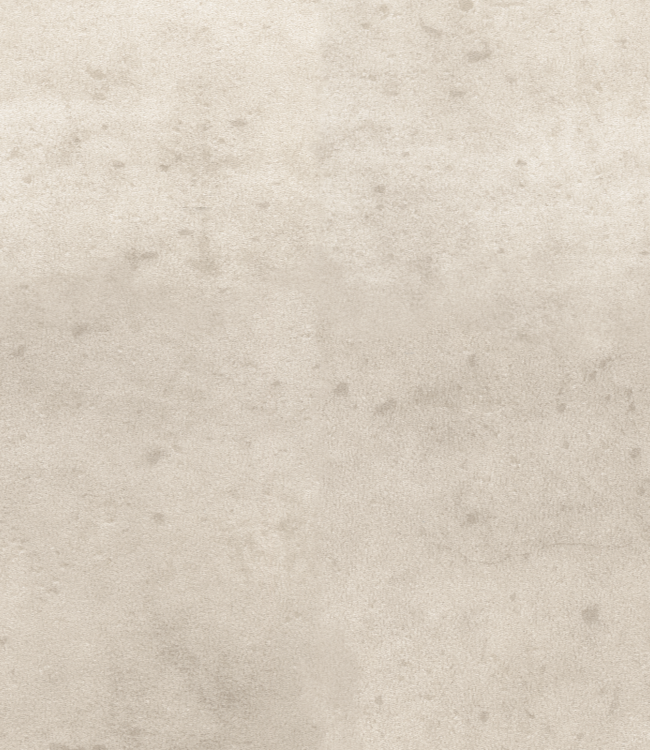 38 mm brede beton licht dilatatieprofiel voor laminaat en PVC