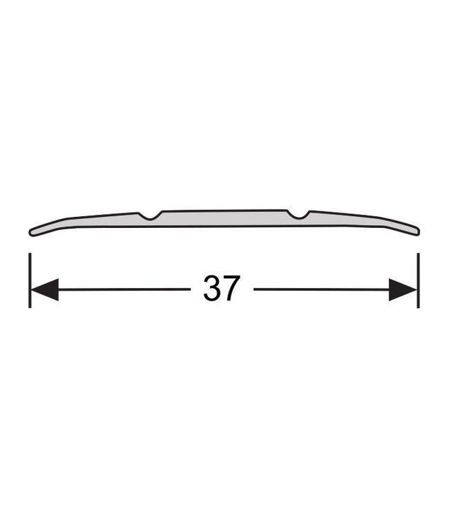Dilatatieprofiel zelfklevend 37 mm aluminium RVS