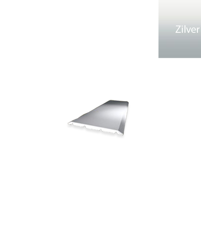 Dilatatieprofiel 441 zelfklevend 40 mm zilver