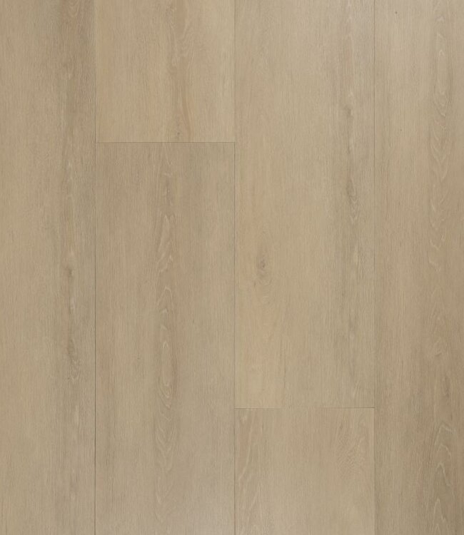 Ambiant Ambiant Wide board click SRC natural