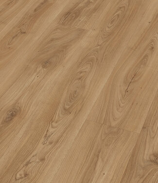 Meister Meister LL 250 Kasteel Eik Natuur