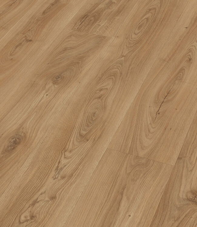 Meister LL 250 Kasteel Eik Natuur 6836