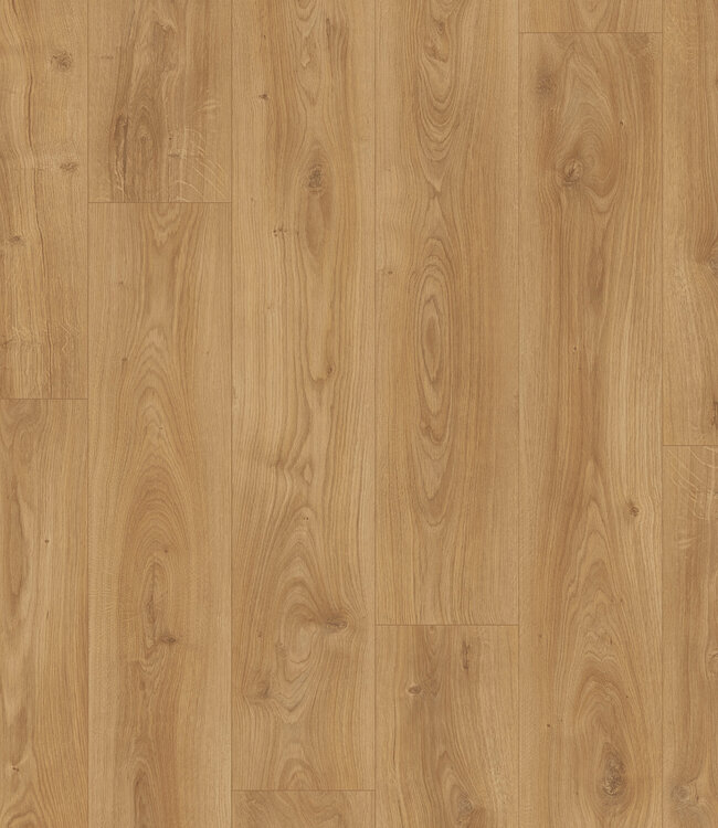 Meister LL 250 Kasteel Eik Natuur 6836