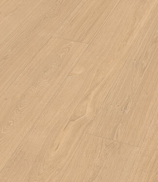 Meister Meister LL 250 Vallei Eik licht