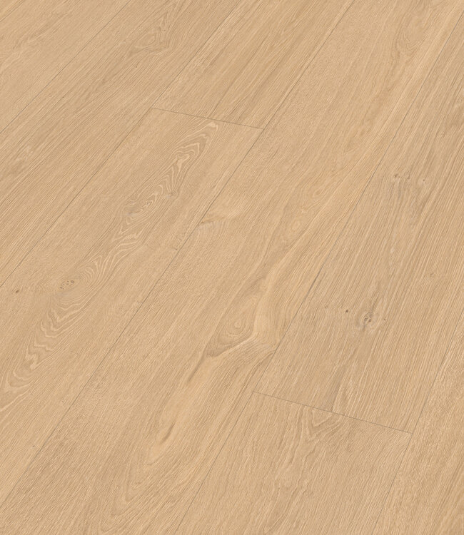 Meister LL 250 Vallei Eik licht 07144