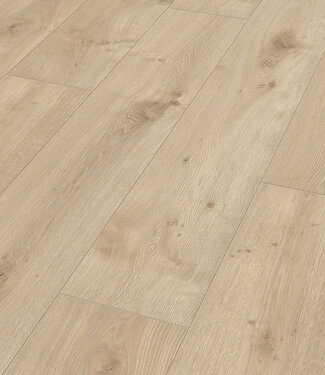 Meister Meister LL 250 Eik Atacama