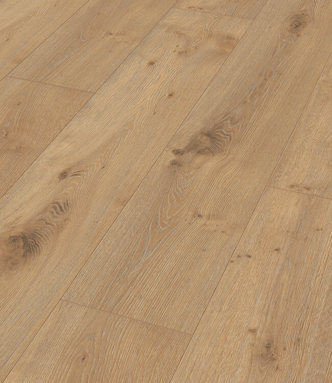 Meister LL 250 Eik Dakar 06385