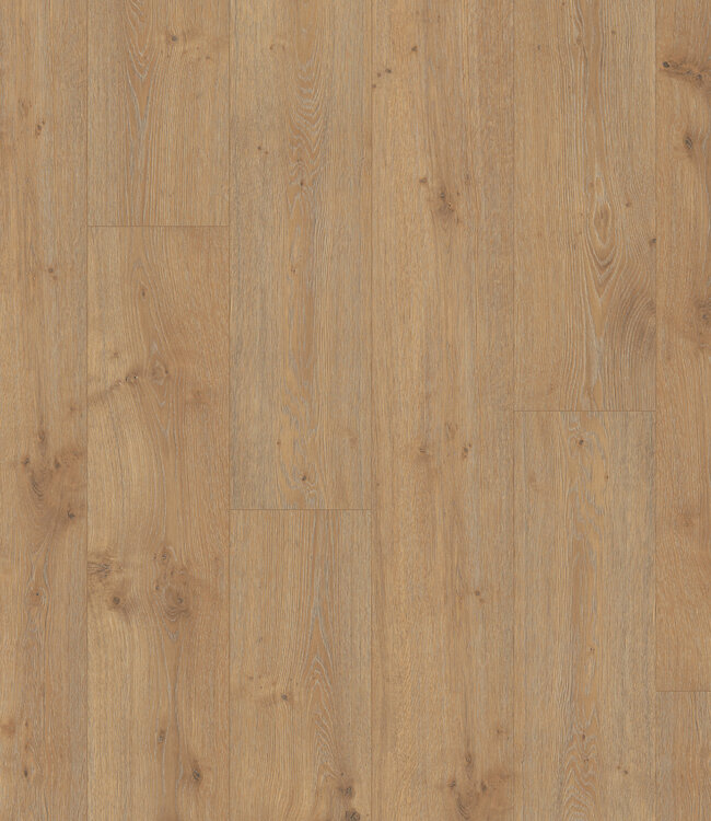 Meister LL 250 Eik Dakar 06385