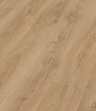 Meister Meister LL 250 Kasteel Eik Licht