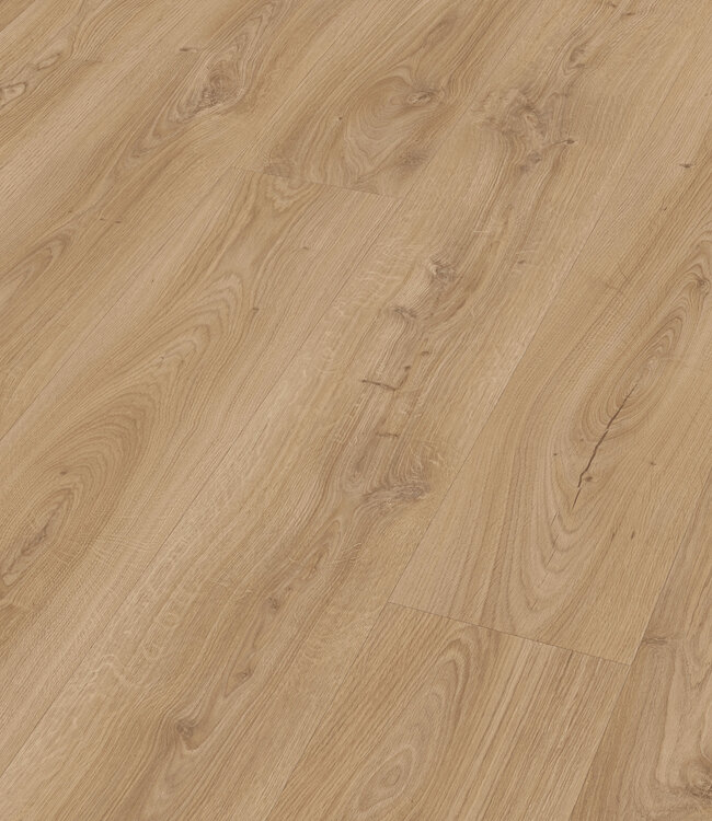 Meister LL 250 Kasteel Eik Licht 06841