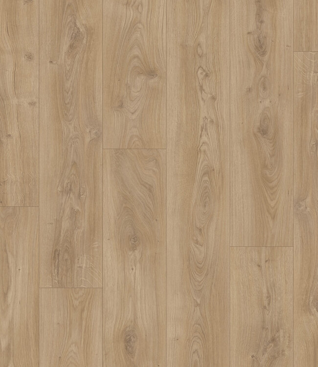 Meister LL 250 Kasteel Eik Licht 06841