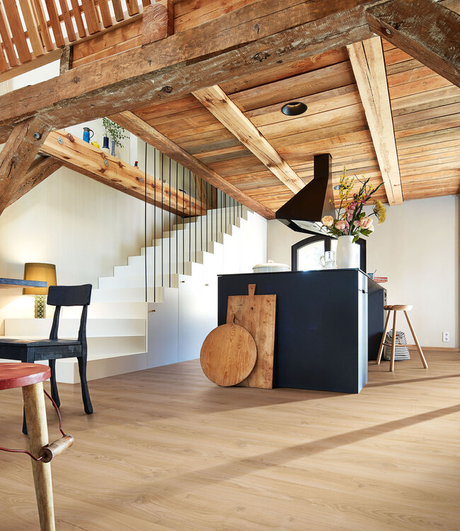 Meister LL 250 Kasteel Eik Licht 06841