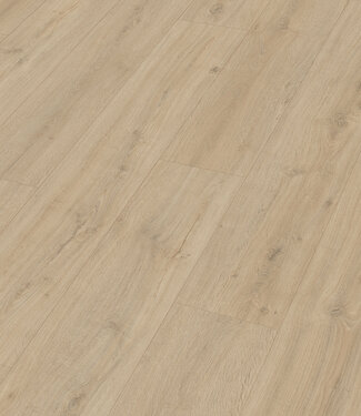 Meister Meister LD 250 Rotseik zand