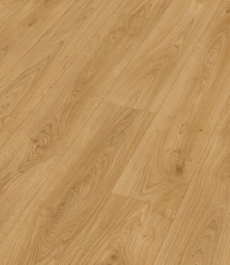 Meister Meister LD 250 Oevereik honing