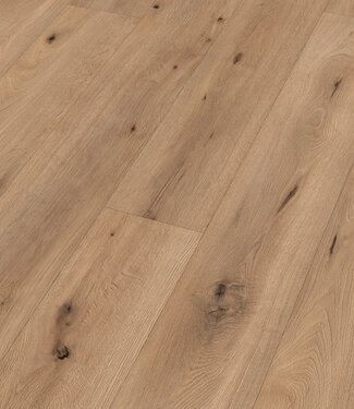 Meister Meister LL 150 Veldeik licht