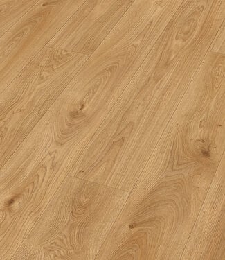 Meister Meister LL 150 Oevereik natuur