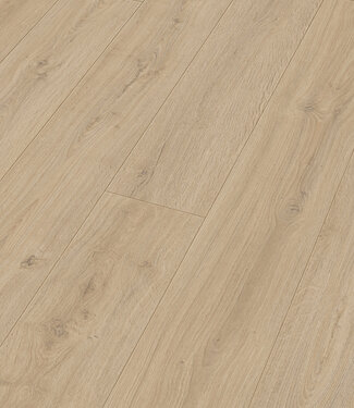 Meister Meister LL 150 Rotseik zand