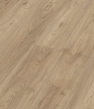 Meister Meister LD 200 Kingdom Oak