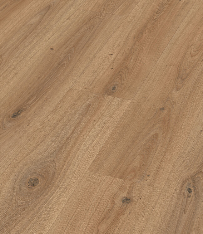 Meister LD 200 Fontein Eik Laminaatvloer