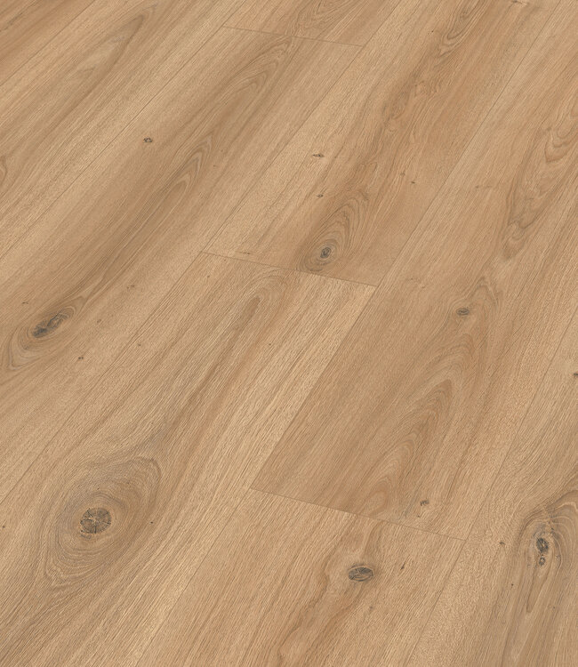 Meister LD 200 Fontein eik pure Laminaatvloer