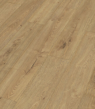 Meister Meister LD 150 Eik champagne