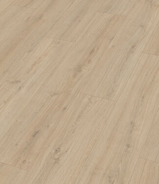 Meister Meister LD 150 Rotseik zand