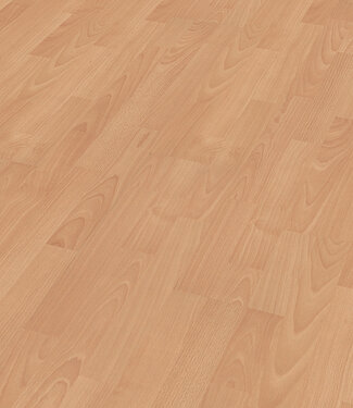 Meister Meister LC150 Beuk