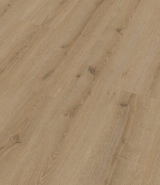 Meister Meister LC150 Toreneik crème