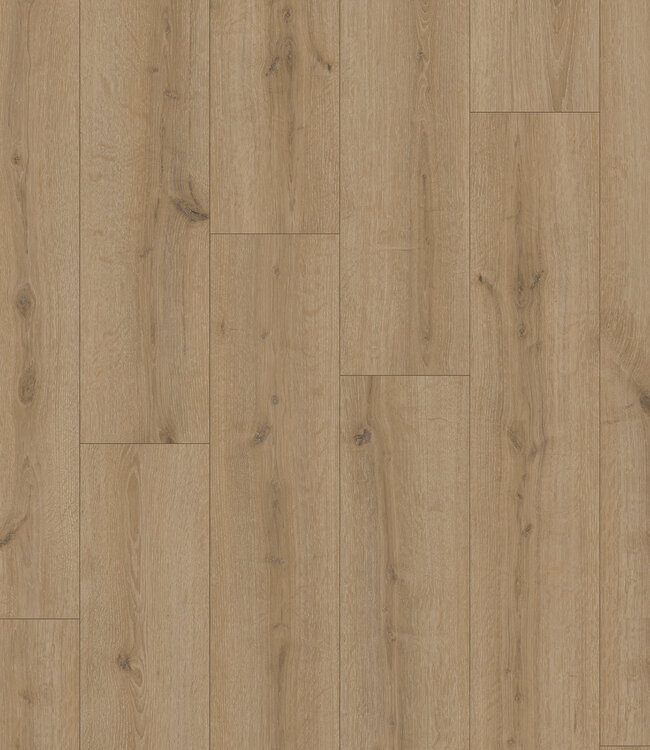 Meister LC150 Toreneik crème Laminaatvloer