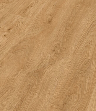 Meister Meister LC150 Oevereik honing