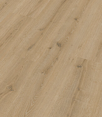 Meister Meister LC150 Toreneik licht