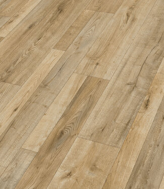 Meister Meister LD55 Eik Bayfield