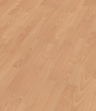 Meister Meister LC55 Beuk