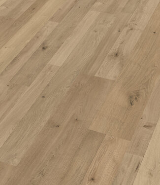 Meister Meister LC55 Natural oak