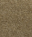 Otium OTIUM Entreemat functioneel beige 200 cm breed
