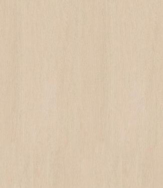 Hoekprofiel 10 mm nordic blond