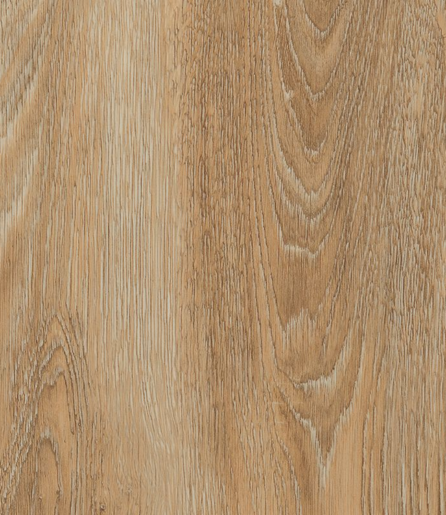 Hoekprofiel scarlet oak nature