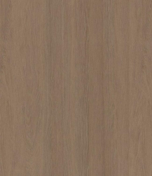 Rozet folie zelfklevend ø17mm decor 263 10st