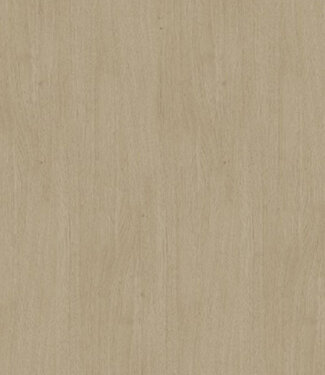 Dilatatieprofiel zelfklevend decor 253 Licht Naturel
